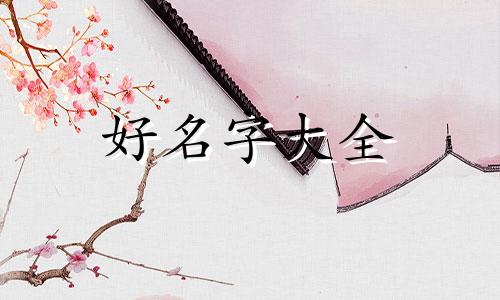 开猪肉铺如何起名好听一点