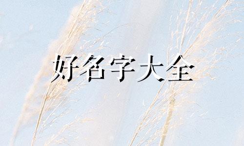 轻食博主如何起名子的视频