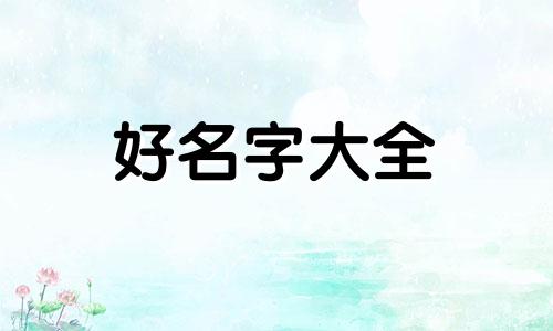 卖家居网络名称如何起名字