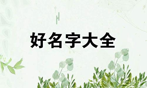 如何新开水果店起名子呢