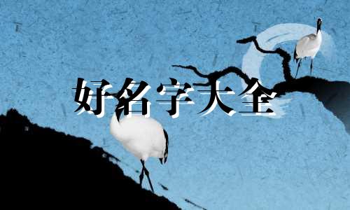 商品名如何起名好一点