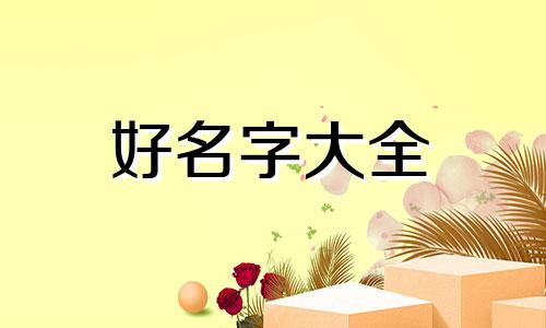 如何查询能起名的商标名称