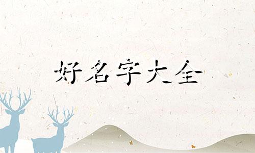 摆摊卖小饰品如何起名字好听