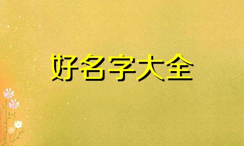 如何为零售项目起名字