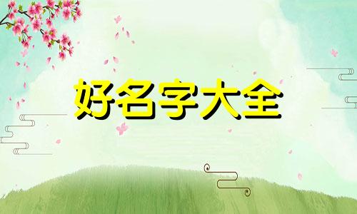 如何生龙凤胎起名一个