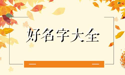 如何用字典给孩子起名字