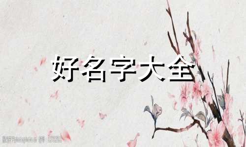 如何给科技类公司起名字