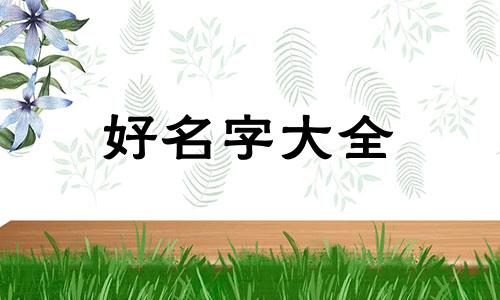 女孩名字叫任善慈如何起名