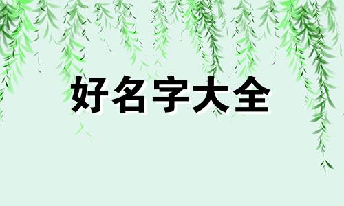 姓孔的艺名如何起名字男