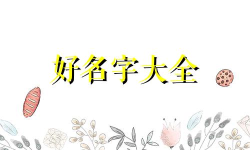 电子厂如何起名字好听呢