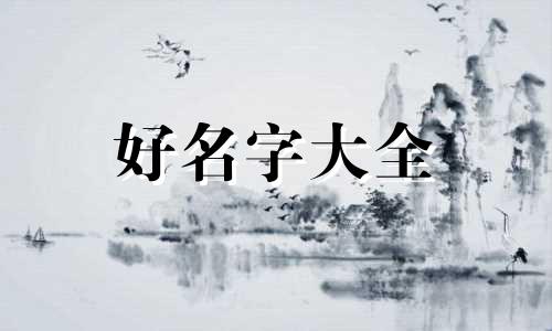 板鞋如何起名字好听女款