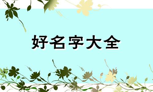 助浴团队如何起名字好听点