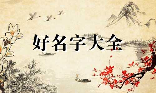 五行属火的行业如何起名