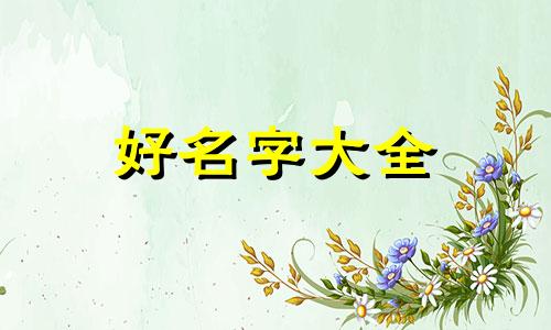 狗年张姓男宝宝如何起名字