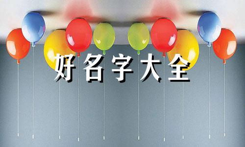 制作水果沙拉的小组如何起名字