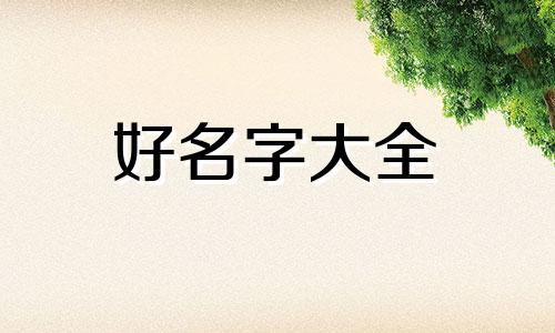 如何给小兔起名字好听又简单