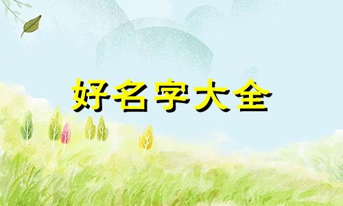 如何给地毯起名字女生好听