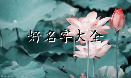 安淡巷做生意如何起名字