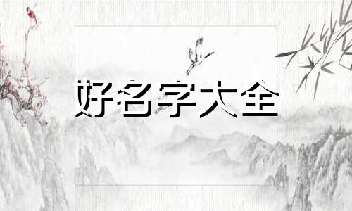 一个组合该如何起名称