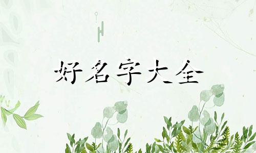 新生小孩如何起名字最好听