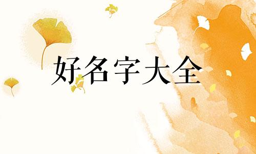 窦和吴如何起名好听点的名字