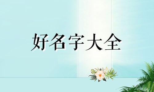 水果摊贩如何起名称呢大全