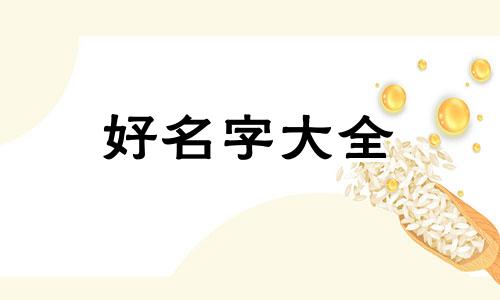 如何给新品牌起名字好听