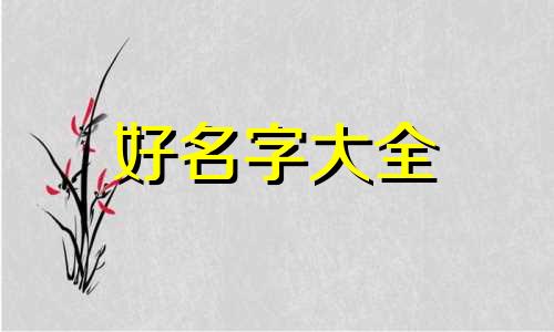 焖锅如何起名字才好听呢