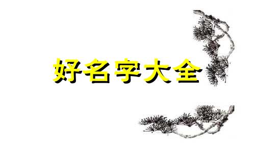 虚拟主播如何起名称呢女生