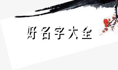 塑料制品名字如何起名字