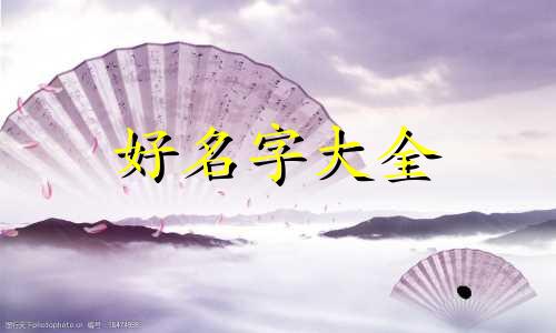 属猪和属牛的配婚如何起名