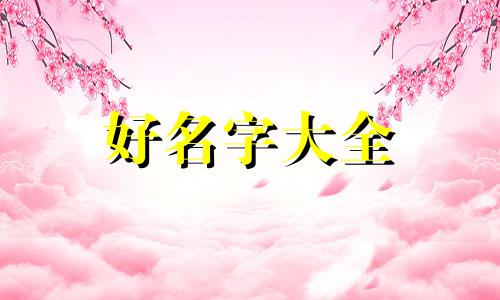 滑板车如何起名称呢好听