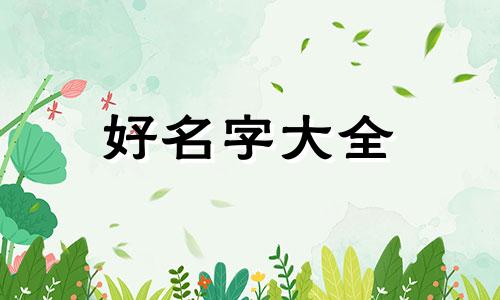 如何帮室内设计起名字