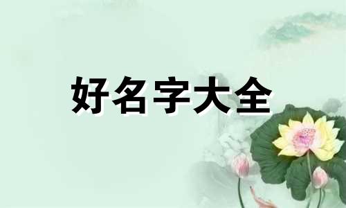 如何给流浪者起名字好听