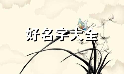 男女双水财运如何起名字好听