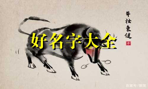 岁数大了如何起名字呢男孩