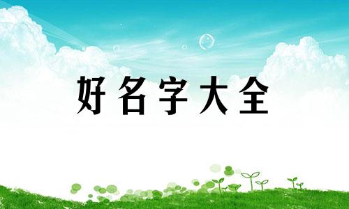 如何给服装装饰起名字大全