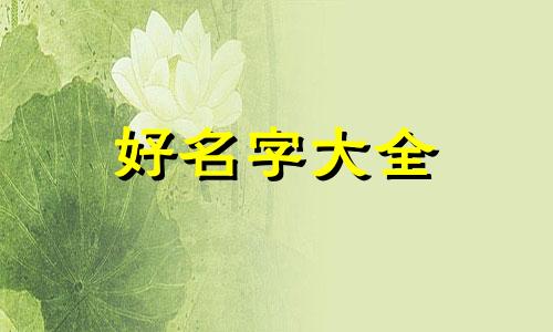 如何给荷兰猪起名字大全