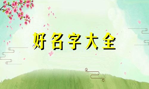 如何给姓杨的女孩子起名