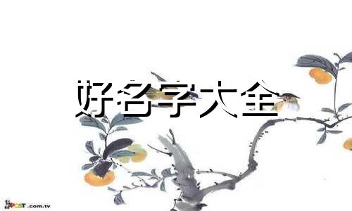 四个美女建个群如何起名