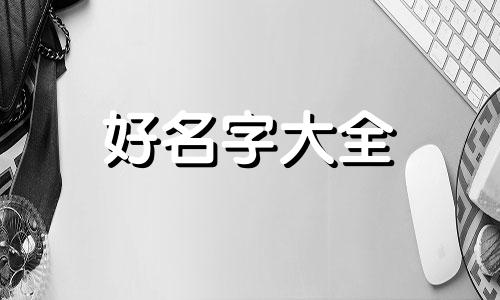 该如何给粉丝起名字呢大全