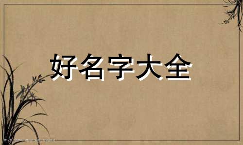 给狗如何起名字好听的女孩