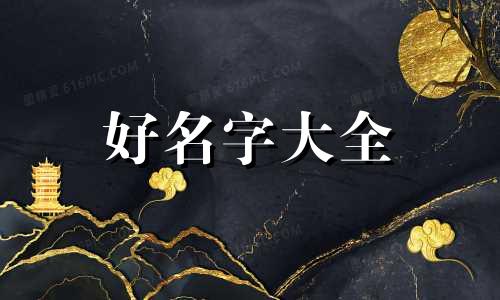 如何给柯基起名字大全集