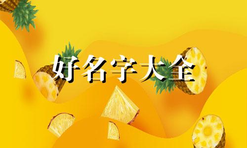 生肖鼠宝宝起名叫喜宝如何