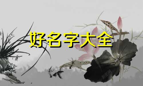 锡字辈如何起名字女孩好听