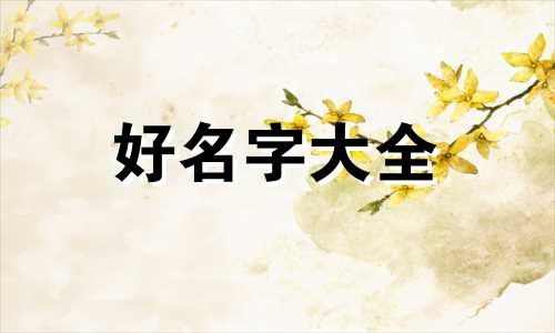 如何起名字打空格符号呢