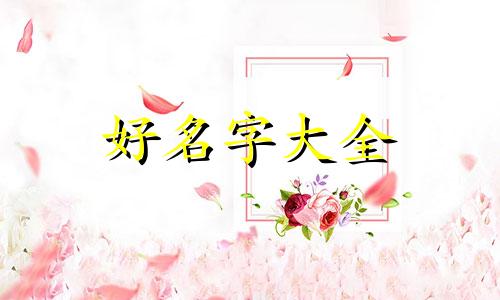 如何给一个软件产品起名