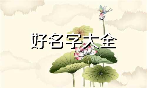 宠物用品如何起名字的好听