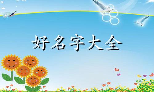 如何给坚果店起名字呢男生