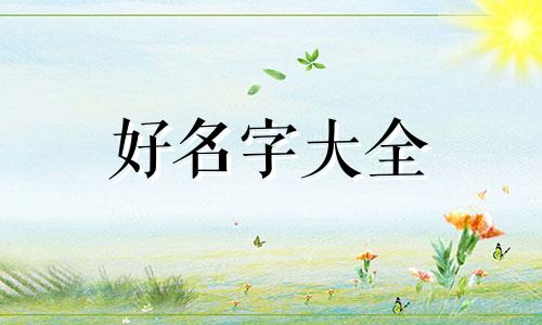 如何给网文人物起名字女生